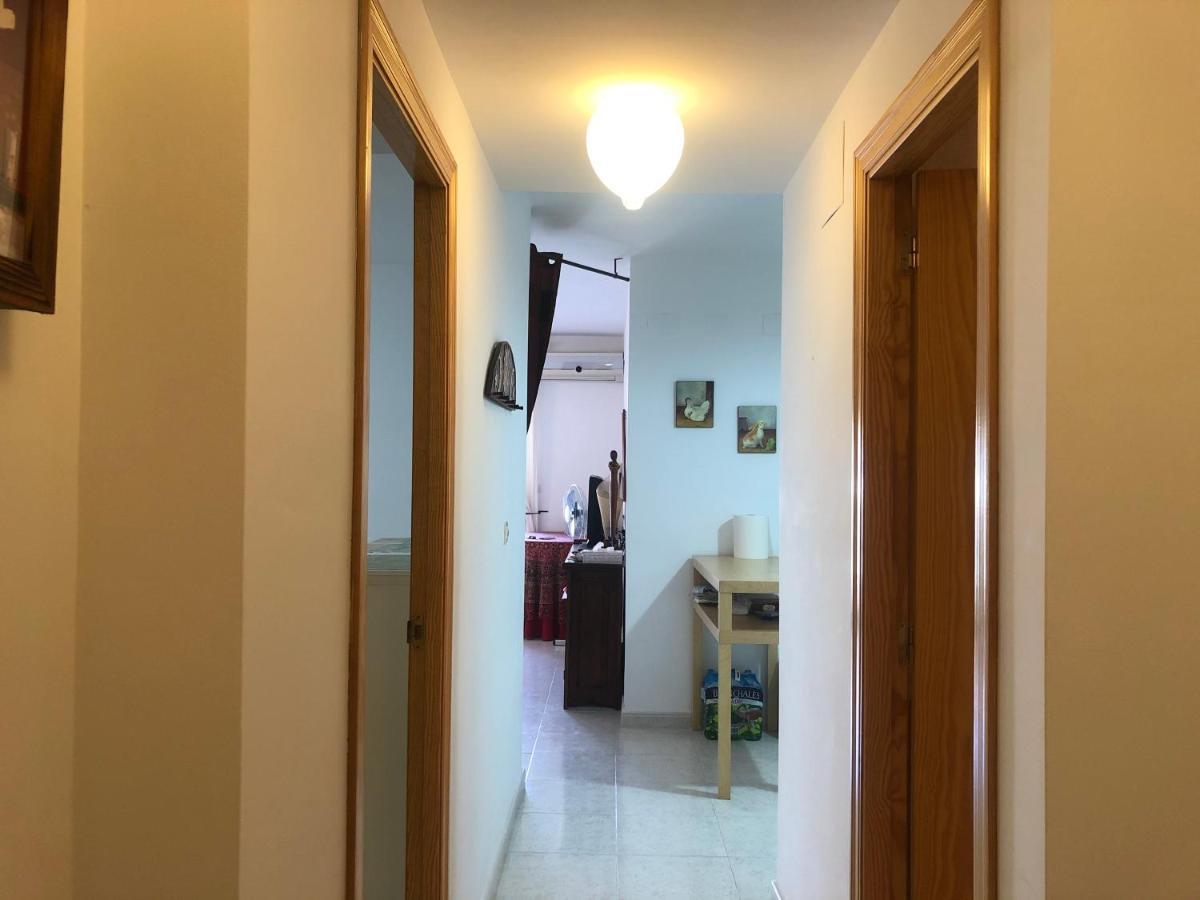 Dianium A-Serviden Denia Dış mekan fotoğraf